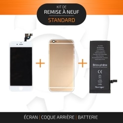 Kit de remise à neuf pour iPhone 6 Or | STANDARD