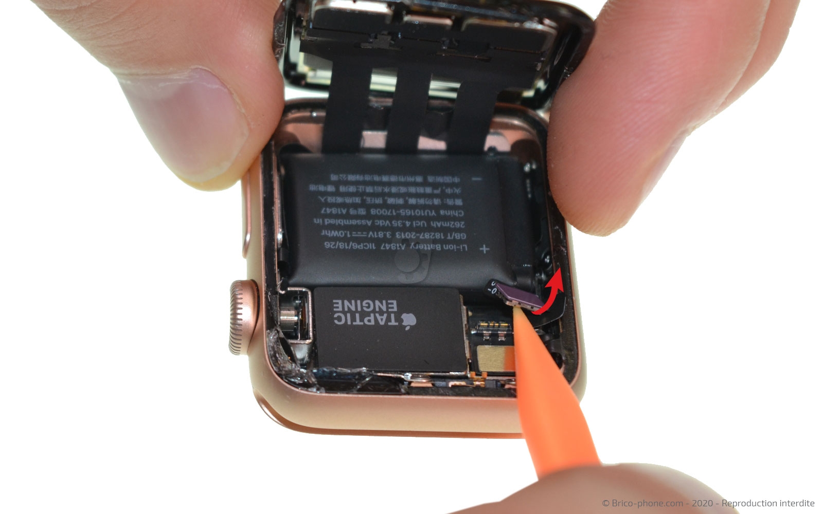 Tutoriel photos permettant de changer l cran d une Apple Watch