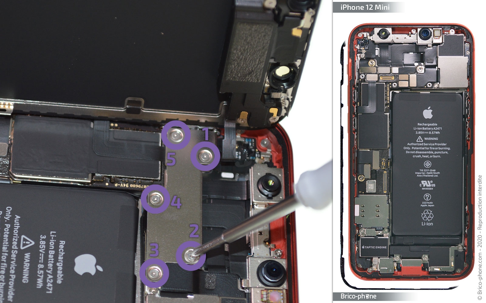 Remplacement de la batterie de l'iPhone 12 mini - Tutoriel de réparation  iFixit